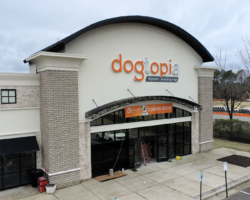 Structured Cabling, Certification